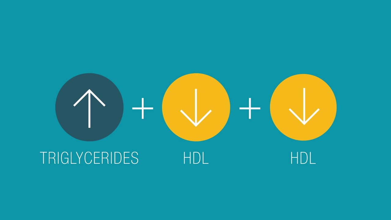 What is cholesterol video