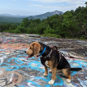 Kit and his dog Thoreau