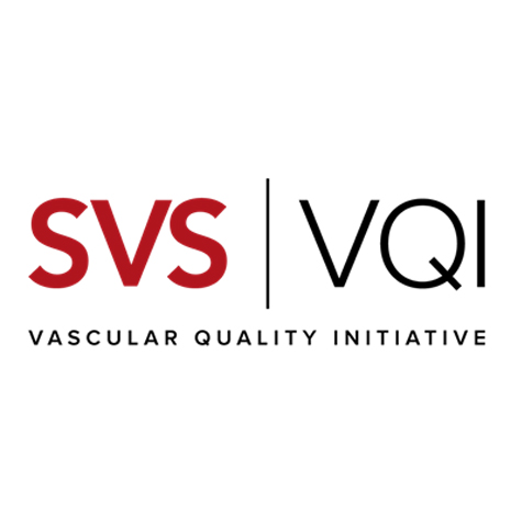 SVS VQI Logo